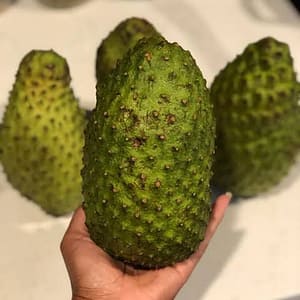 Soursop Seeds