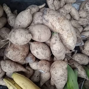 Sweet Potatoes