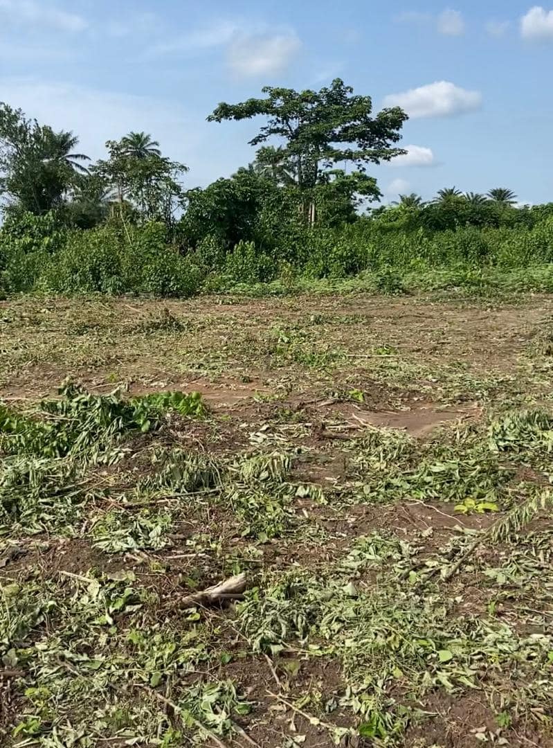 WhatsApp Image 2025-06-10 at 13.45.02(1)